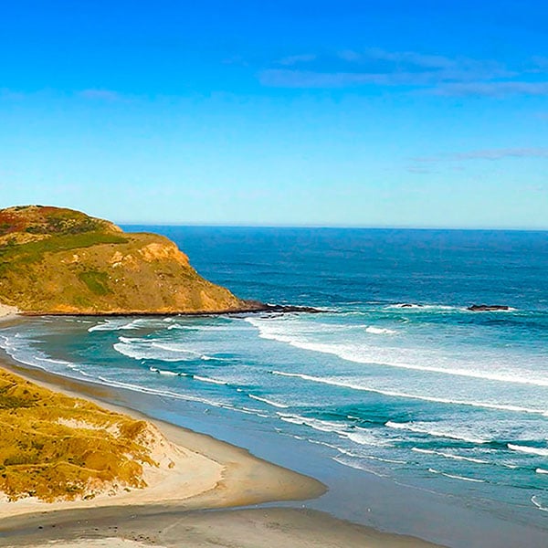 Dunedin